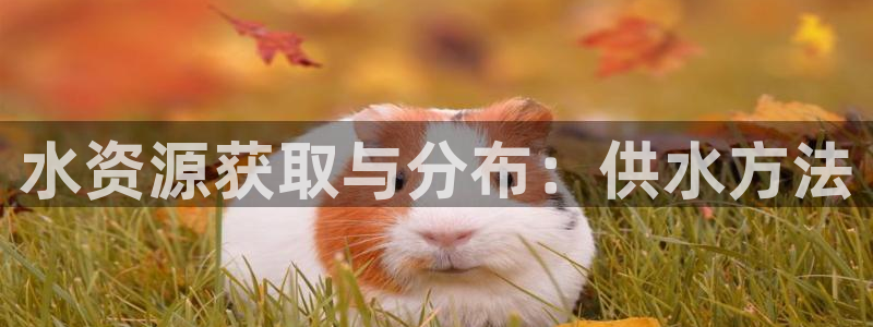 球友会体育app官方版下载安装苹果手机