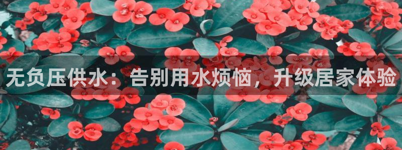 球友会英文怎么说呢翻译