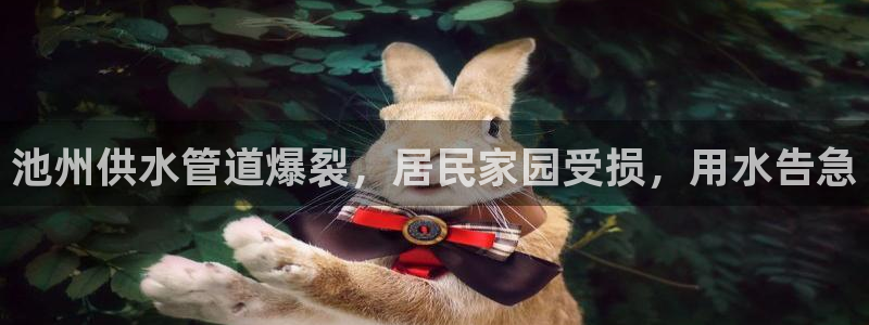 球友会软件