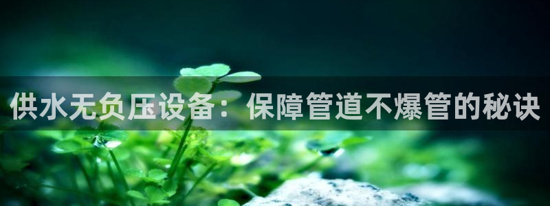 球友会体育app官方版下载安装手机