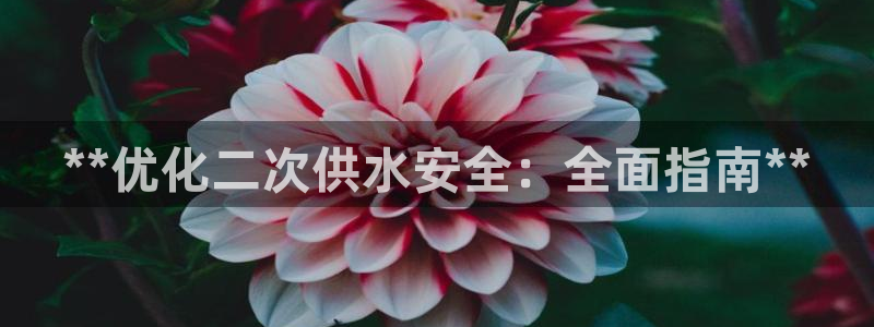 qy球友会体育官方平台