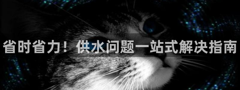 QY球友会体育官方平台