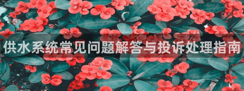 球友会下载