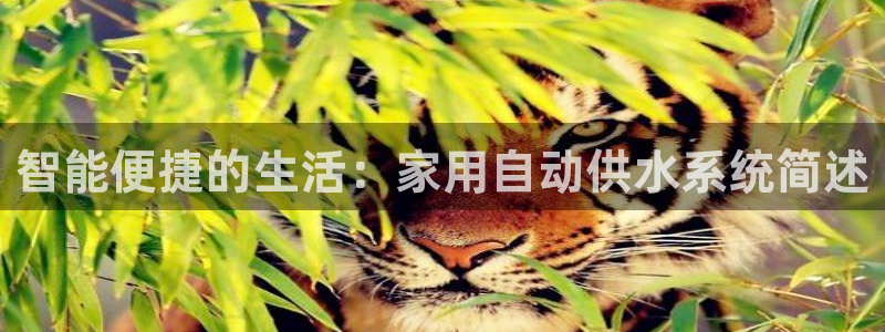 球友会兑换码