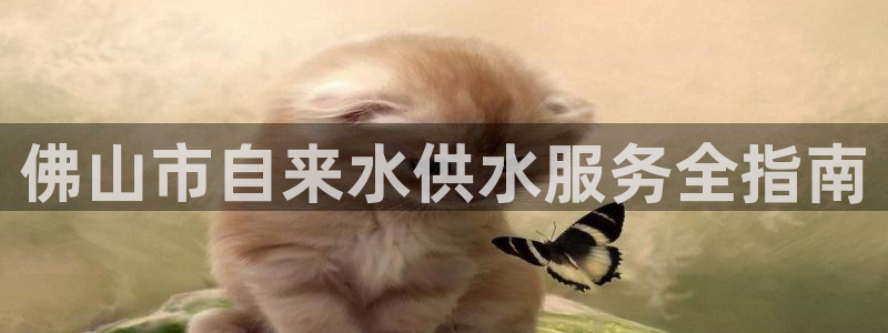 球友会怎么样