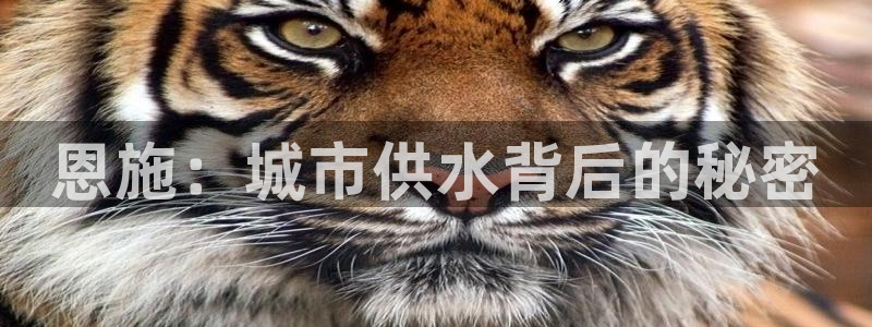 球友会软件