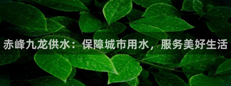 球友会app官网下载苹果