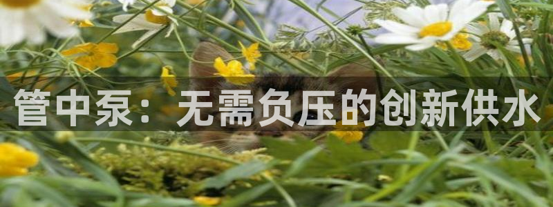 球友会app