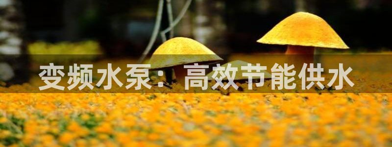 球友会友谊赛赛程赛果