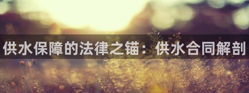 球友会qy