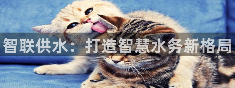 球友会地址
