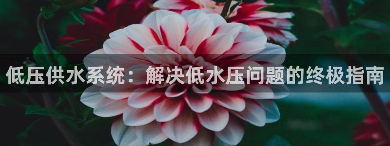 球友会app介绍
