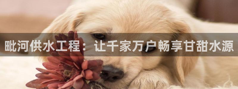 qy球友会体育官下载