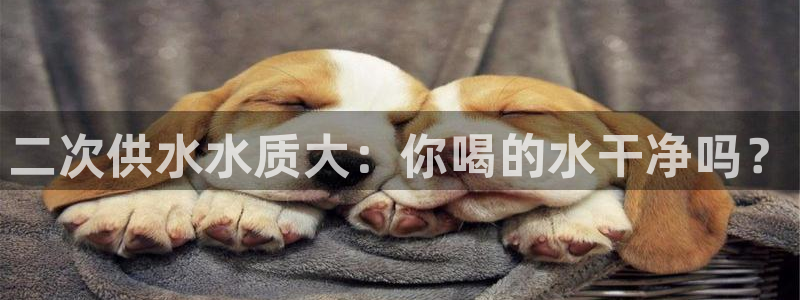 qy球友会体育