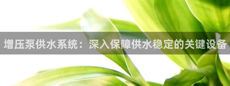QY球友会体育官网