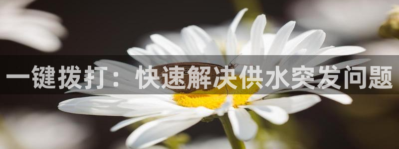 球友会app官方网站