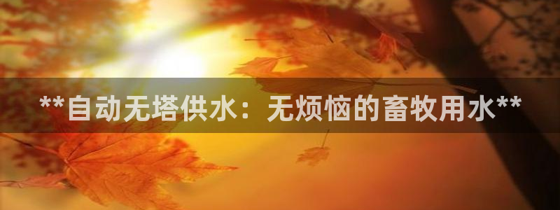 球友会提款审核中