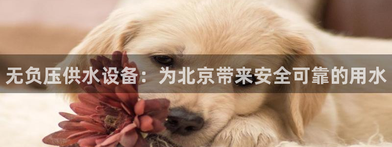 球友会下载安装
