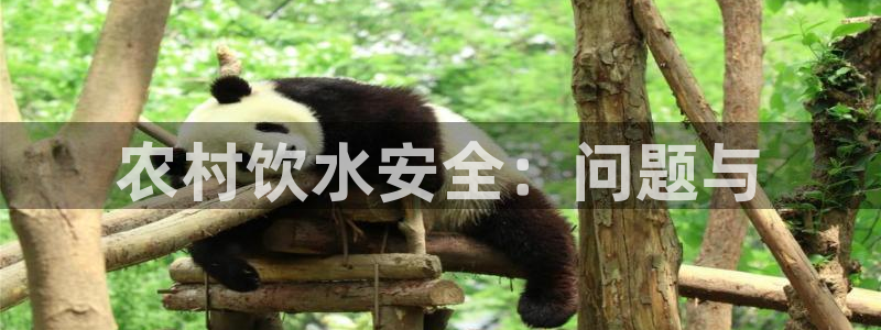 球友会首页