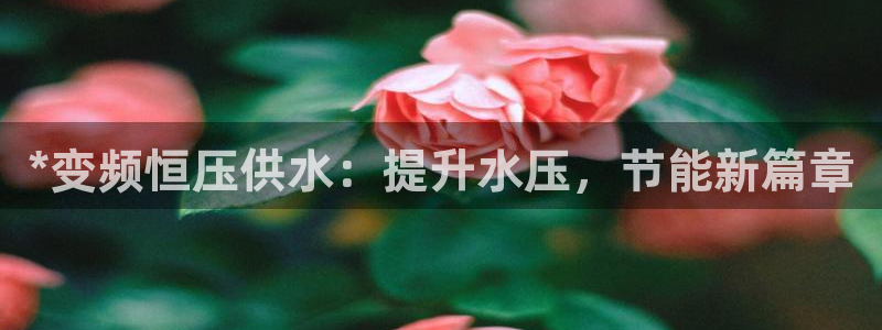 球友会体育app下载