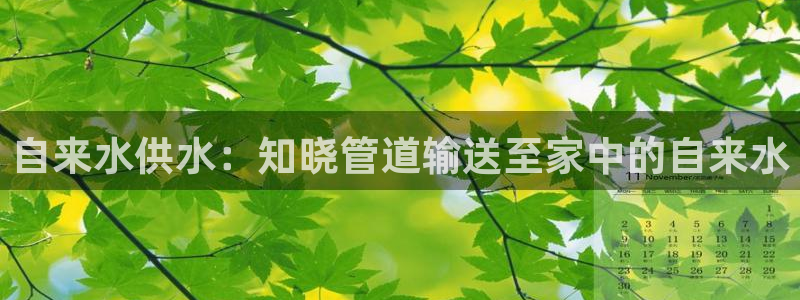 球友会联赛