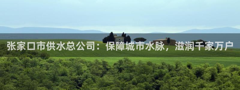 球友会不出款
