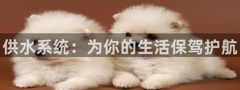 球友会体育app下载官网苹果