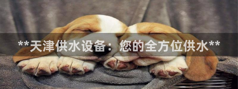 球友会网站多少钱一个