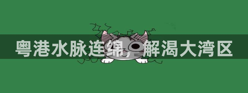 球友会app干啥的啊