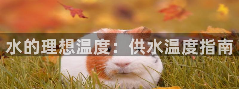 球友会为什么能上百度官方