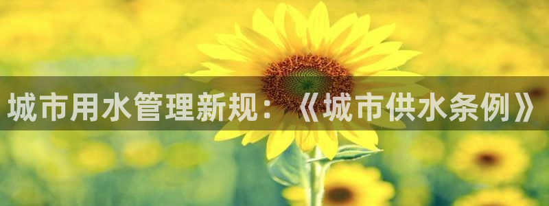 QY球友会体育官网