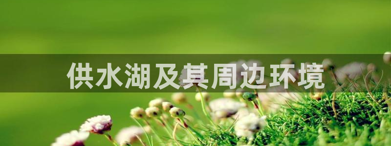 球友会台球俱乐部在哪