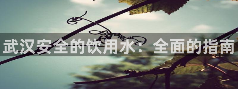 球友会qyh