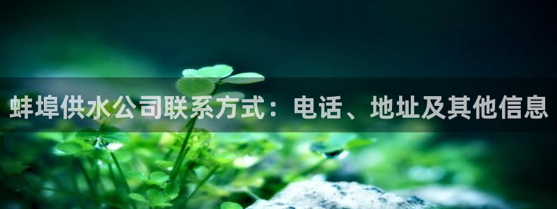 球友会qyh