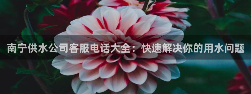球友会QY