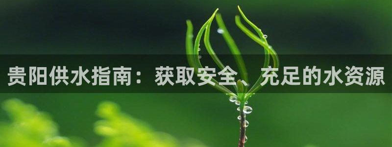 QY球友会
