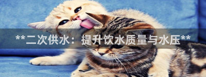 球友会qyh