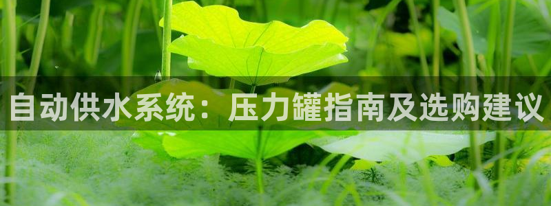 球友会app安全吗可靠吗是真的吗