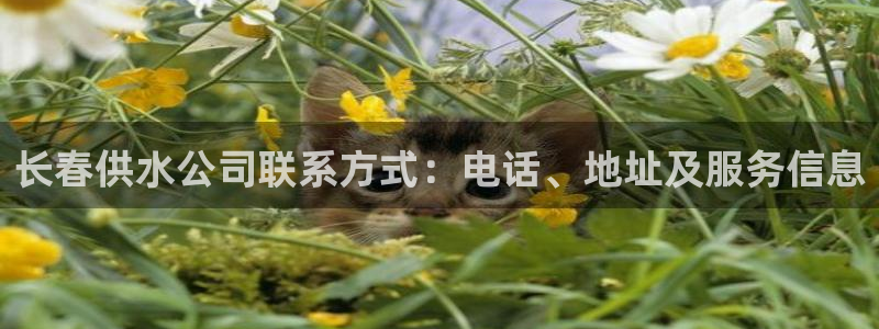球友会体育app下载安卓最新版