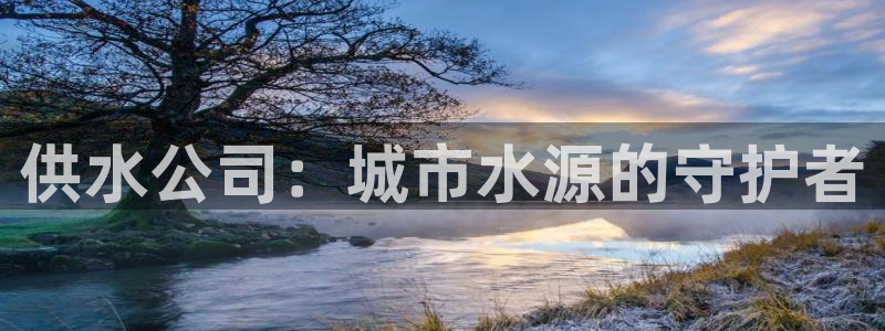 qy球友会体育官下载