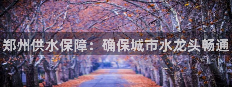 qy球友会体育官下载