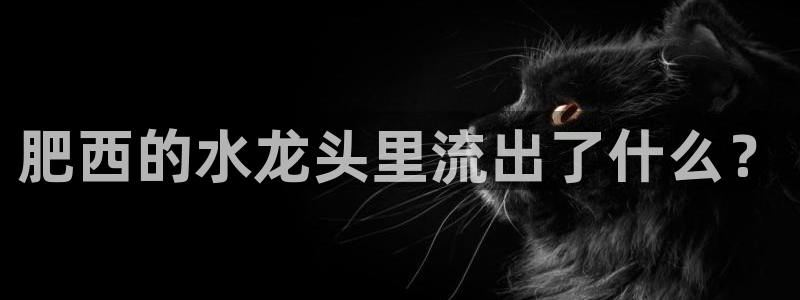 球友会台球俱乐部官网