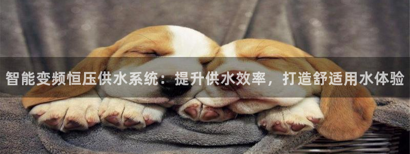 球友会体育app下载