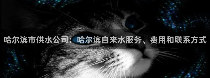 球友会app下载QY