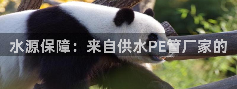 球友会体育官网