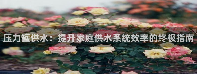 球友会体育
