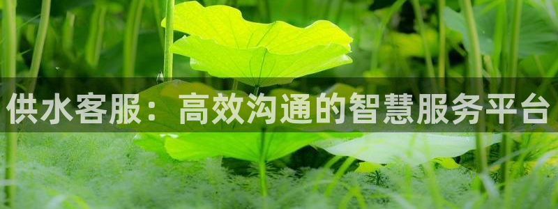 球友会app安全吗可靠吗是真的吗