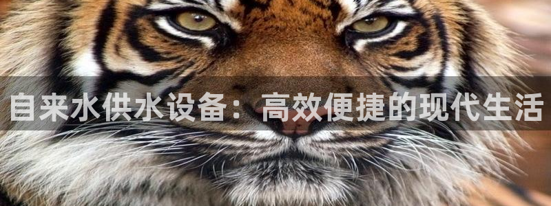 球友会体育app下载官网苹果