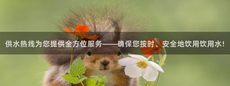 球友会不出款