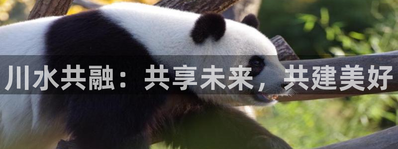 球友会app安全吗可靠吗是真的吗